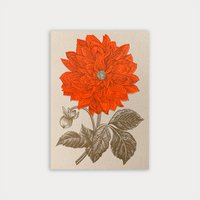 Postcard / Dahlia / Risography