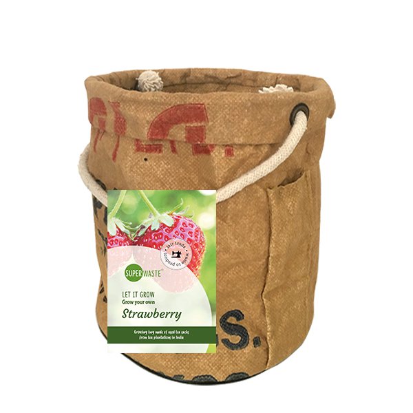 Déjalo crecer vegetal y frutas fresas