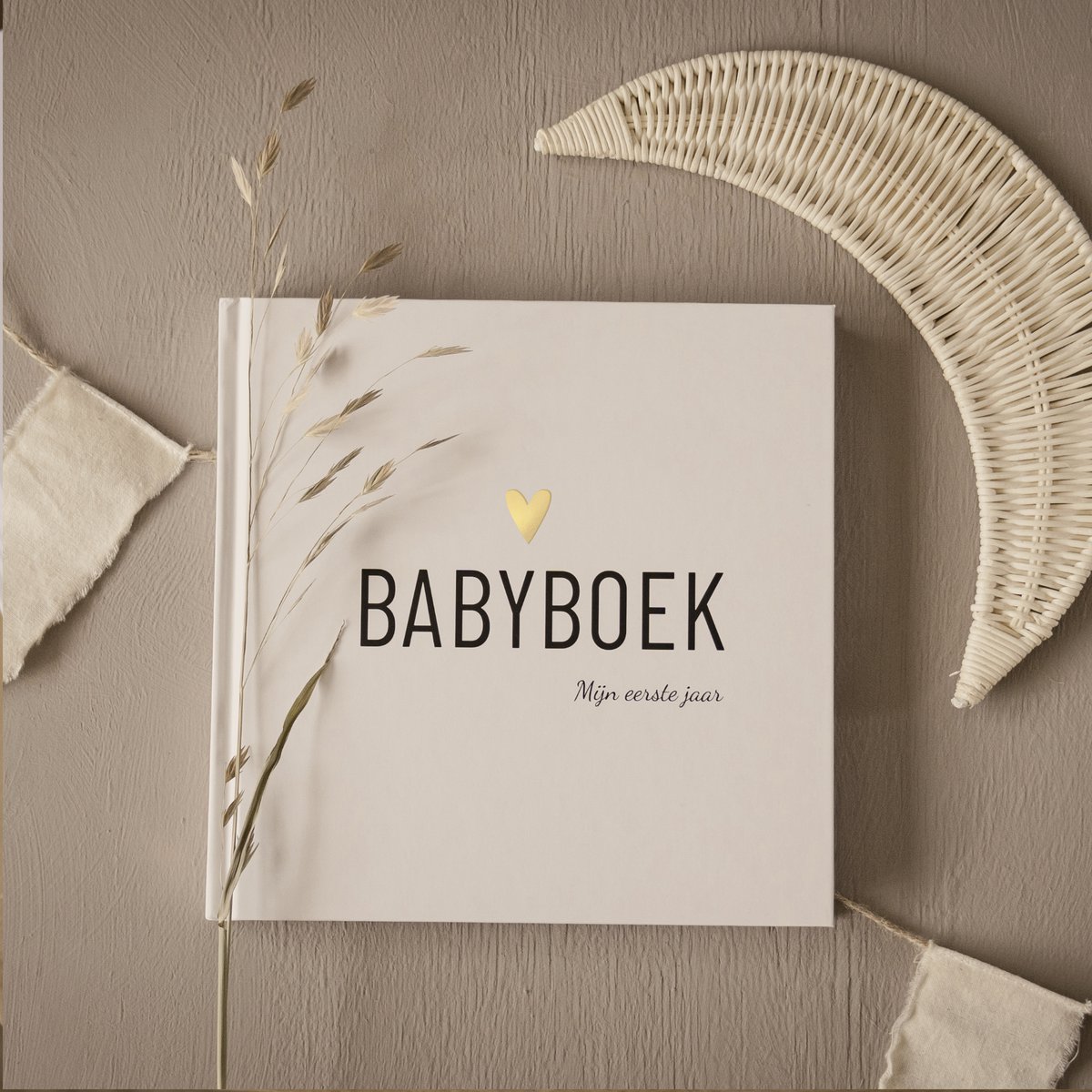 Babybog - Mit første år