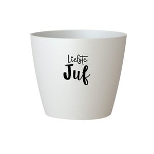 Bloempotje 'Liefste juf' - wit