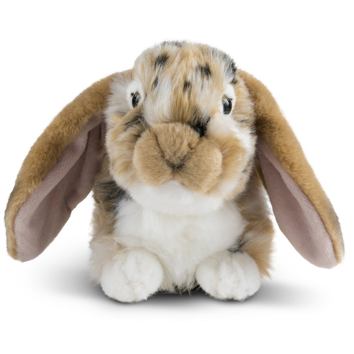 DUTCH LOP EARED RABBIT BROWN 30cm