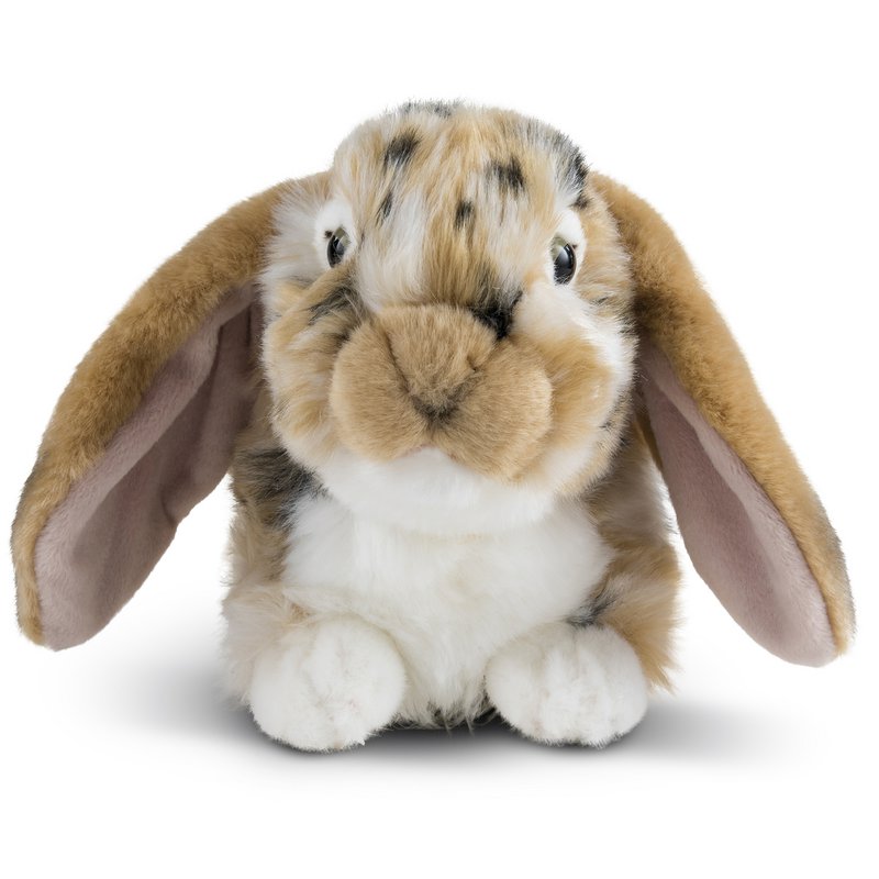 DUTCH LOP EARED RABBIT BROWN 30cm