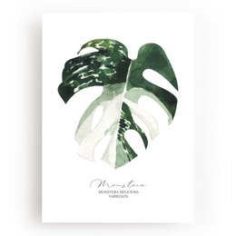 Botanical art print featuring a large green monstera leaf with white accents. The print has a minimalist, natural style that would complement a variety of home decor styles.