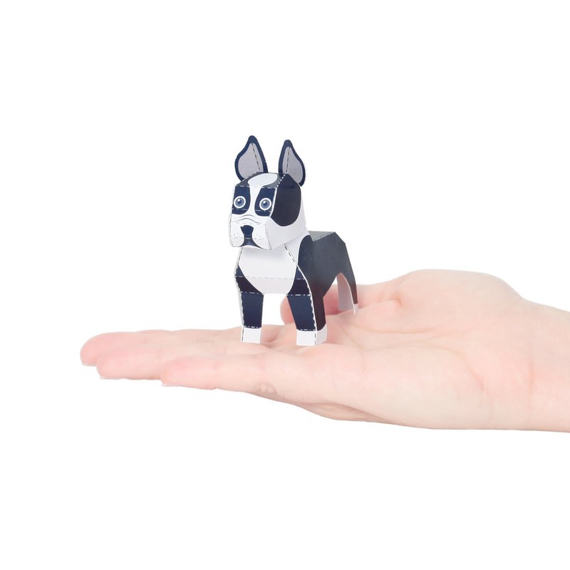 Boston Terrier Postcard