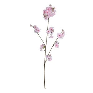 Apple Blossom Sweet Pink