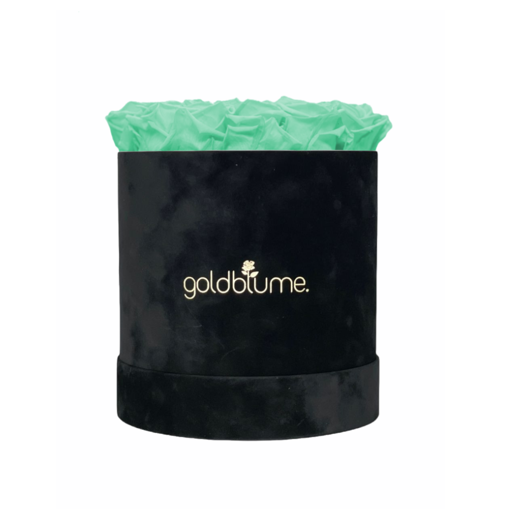 Velvet Black-collectie