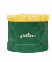 Velvet Green Collection