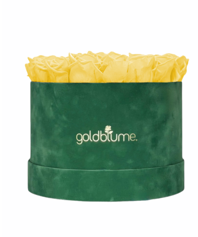 Velvet Green Collection