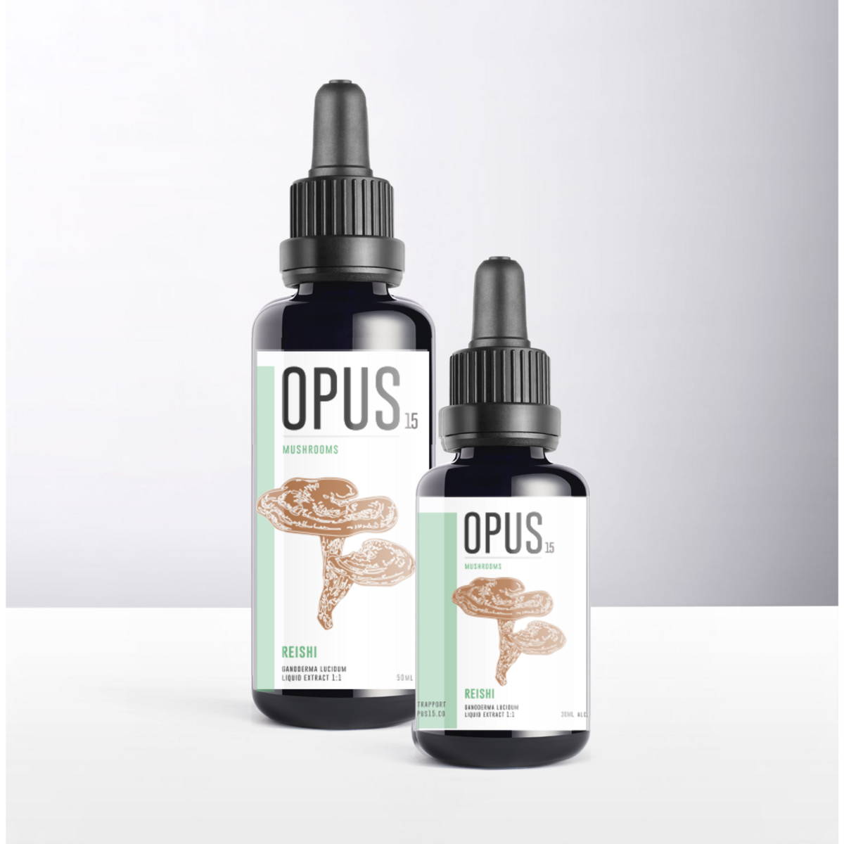 Setas REISHI Opus