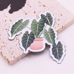 Magnet Plant Begonia Réfrigérateur Aimant Plante d’intérieur - Cadeau Anniversaire Plante en pot
