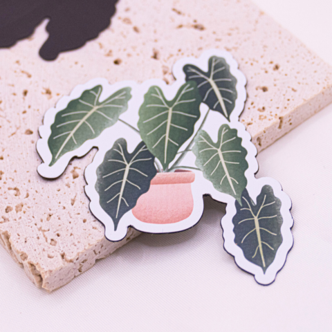 Magneet Plant Begonia Koelkastmagneet Kamerplant - Cadeau Verjaardag Potplant