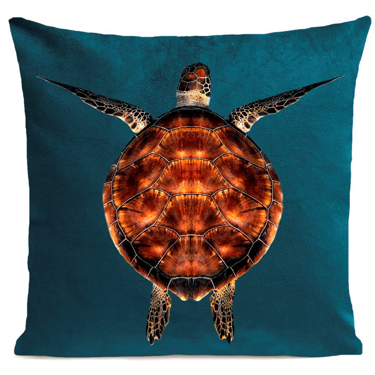 Schildkrötenkissen, Miss Turtle