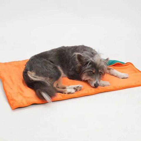 Reisematte Travel Mat Picknicker grün orange