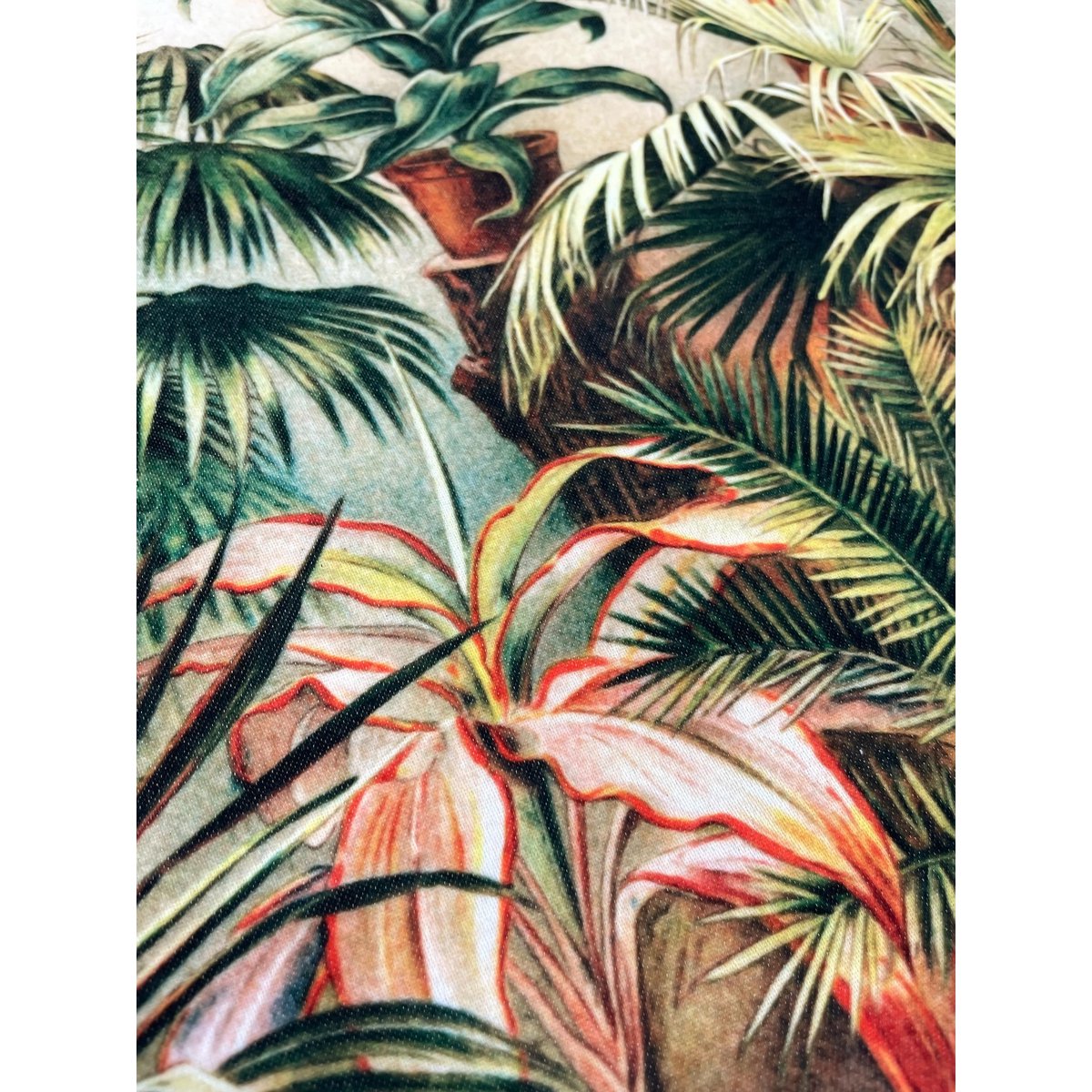Antieke Victoriaanse botanische sierkussenhoes tropische kas | VIN007
