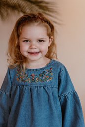 Marina Denim Dress