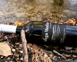 Vino rosso invecchiato D.O.Ca. Medina della Rioja Vega