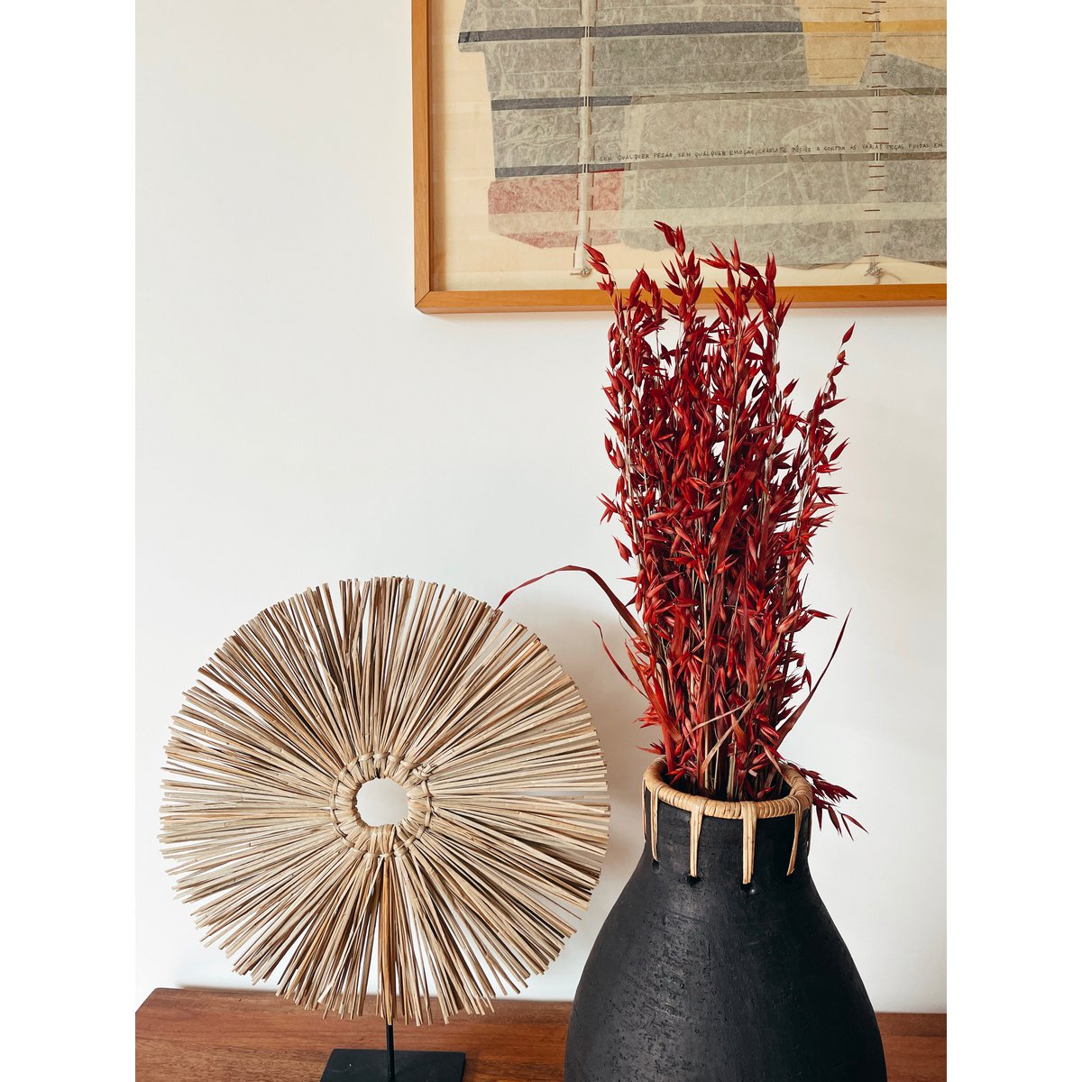Fiori secchi rossi di Avena