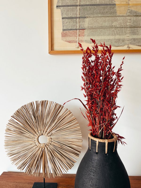 Fiori secchi rossi di Avena