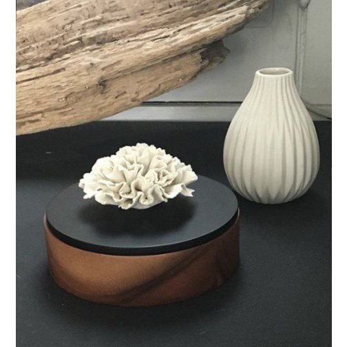 CHAN Box (Holz & Schwarz)