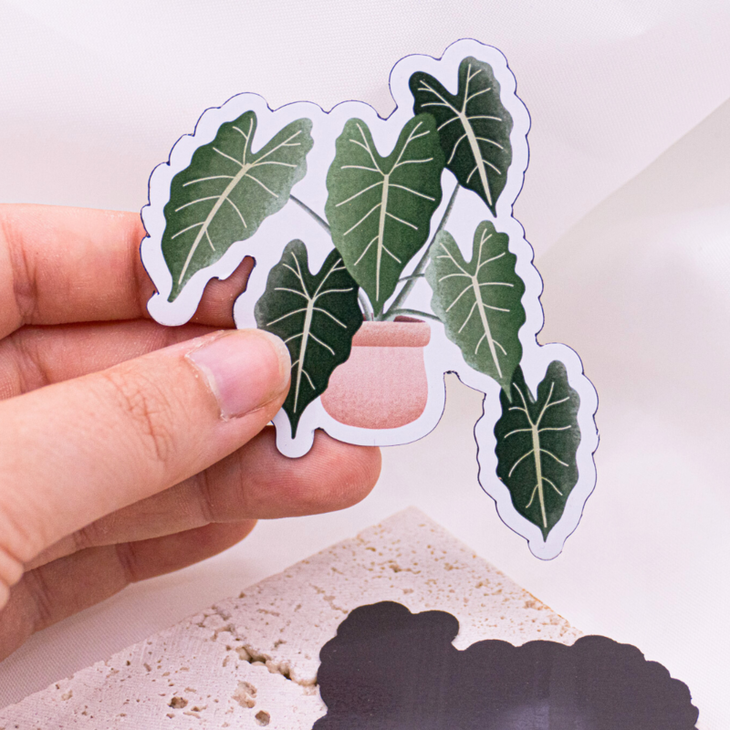 Magnet Plant Begonia Réfrigérateur Aimant Plante d’intérieur - Cadeau Anniversaire Plante en pot