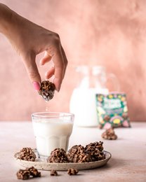 Jungle Rocks 45g – Müsli mit Schokoladenüberzug