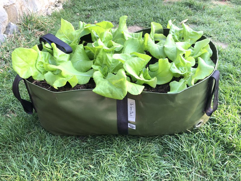 The Green Block M
