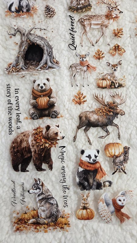 Woodland Stories - PET Tape