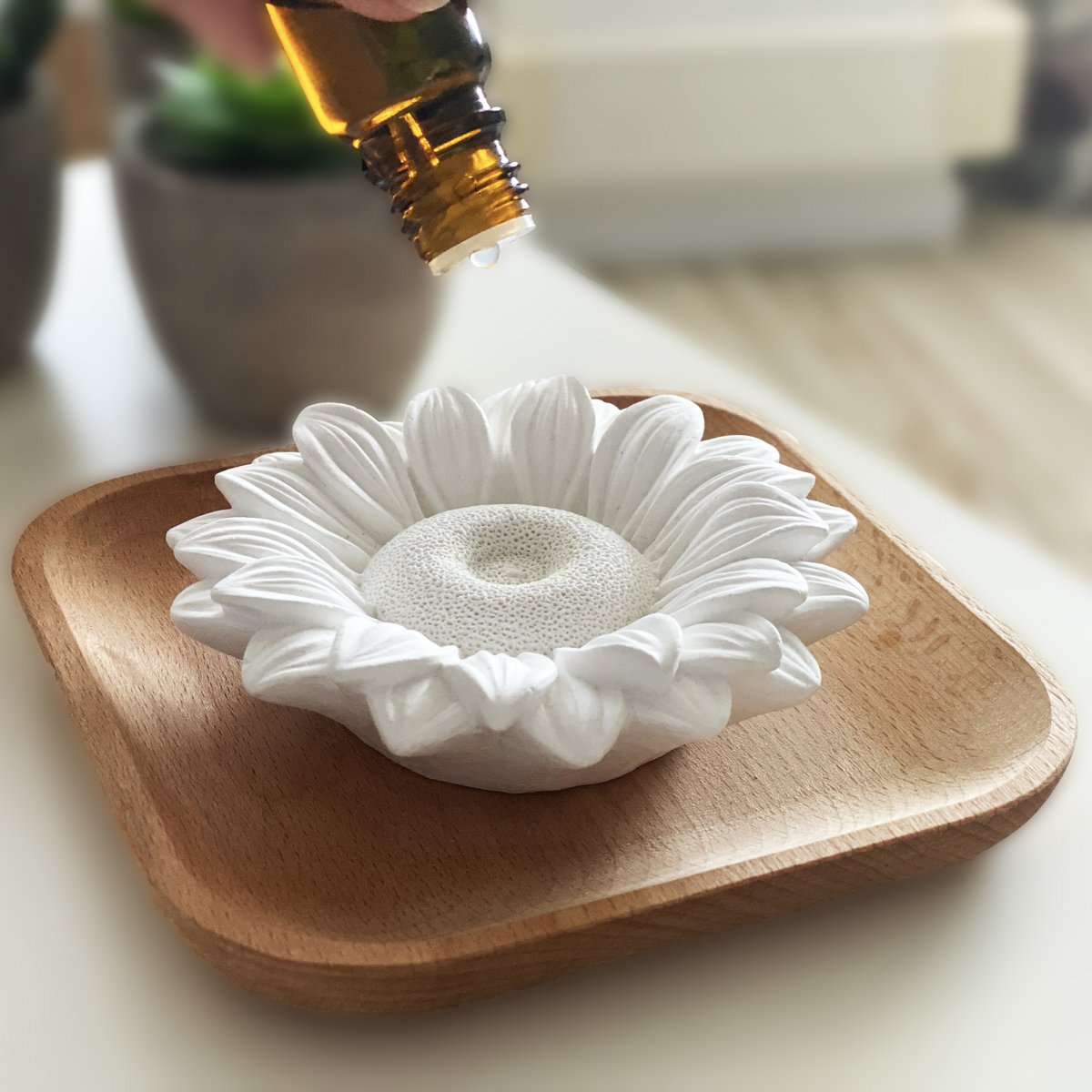 Astelia: gipsdiffusoren