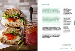 Simone van Thull - Fermentation and Fermentation Bible