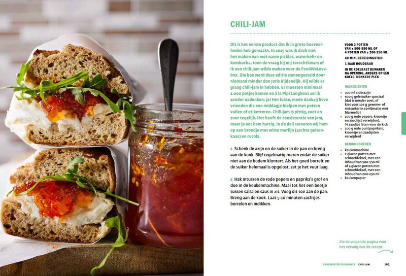 Simone van Thull - Fermentation and Fermentation Bible