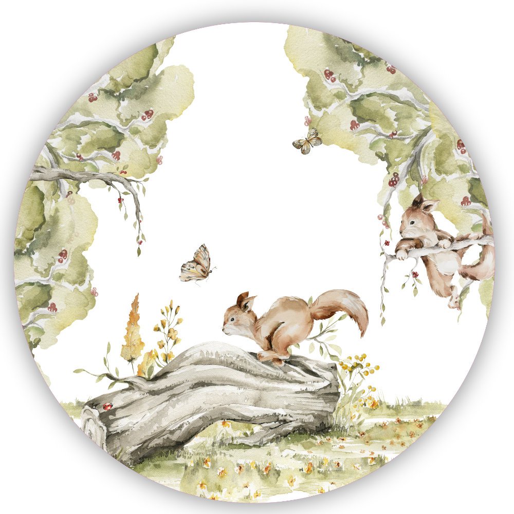 Selbstklebender Tapetenkreis - Eichhörnchen im Wald | Kinderzimmer | ab Ø 60 cm