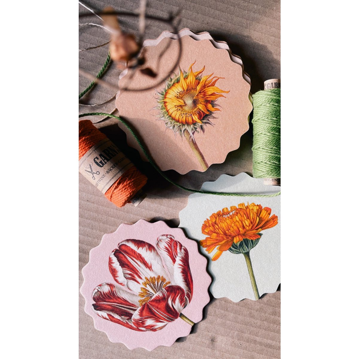 Sous-verres 10 motifs fleurs - 12 sets