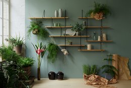 LINK Regalsystem DUO oak / black