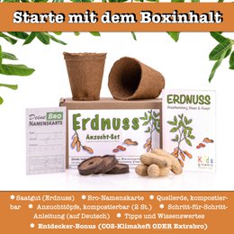 growbro kids set per la coltivazione di arachidi, set per la scoperta del giardino, bambini ricercatori, regalo per bambini, regalo di compleanno per bambini, esperimento da portare con sé