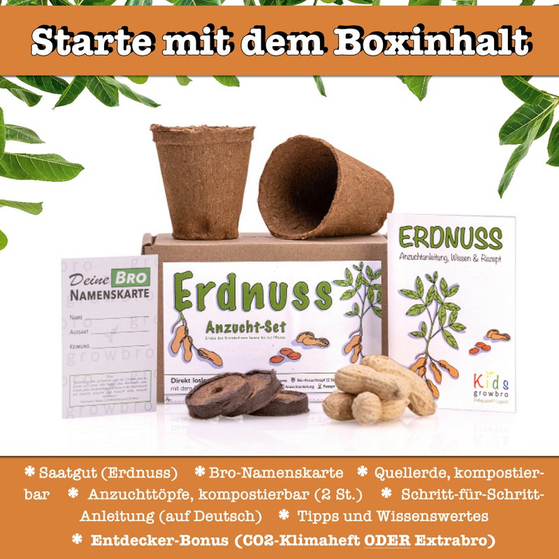 growbro kids set per la coltivazione di arachidi, set per la scoperta del giardino, bambini ricercatori, regalo per bambini, regalo di compleanno per bambini, esperimento da portare con sé