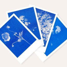 RISOGRAFIA POSTRACCARD - HYRGANGEA - Din A6