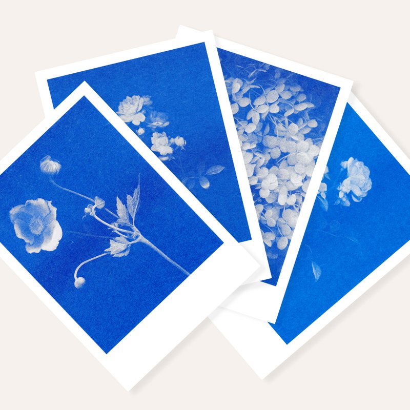RISOGRAFIA POSTRACCARD - HYRGANGEA - Din A6