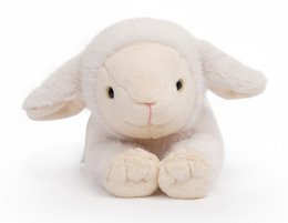 One Love Knuffel - Lam Daisy Wit