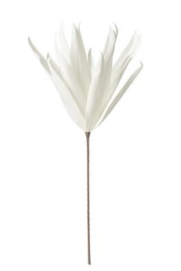 J-Line Flower Branch Long Leaves 1 Cup Eva - polyresin - white