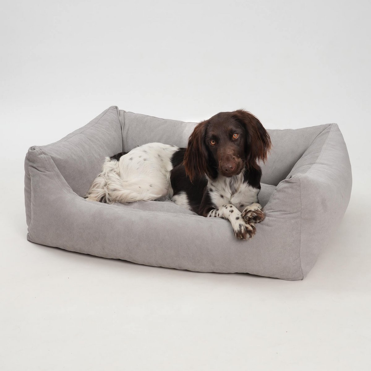 Hundebett Box Bett Madison mouse