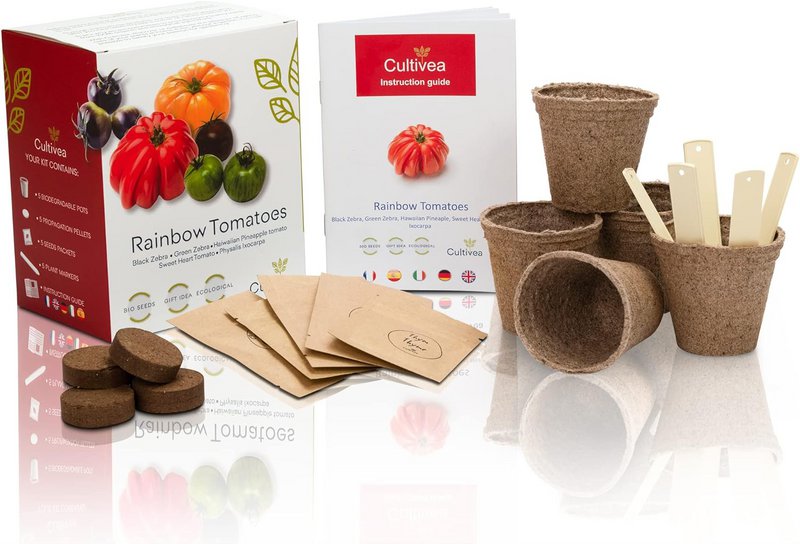 CULTIVEA® økologisk* tomatfrøsæt til plantning – 5 gamle og farverige sorter – Oksehjertetomat, ananastomat, grøn zebra, sort zebra, Physalis – Komplet tomatkimplantesæt med potter, pastiller og guide