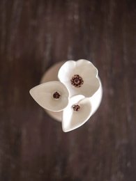 Flor Jarro