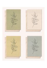 Sustainable card + envelope | Olive branch | silver fir