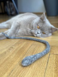 Felt snake (gray)