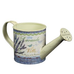 Lavendel-Gieákanne lille