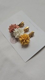 Mini-Gänseblümchen
