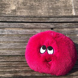 buddyFLAUSCHN pavo real rosa 50cm