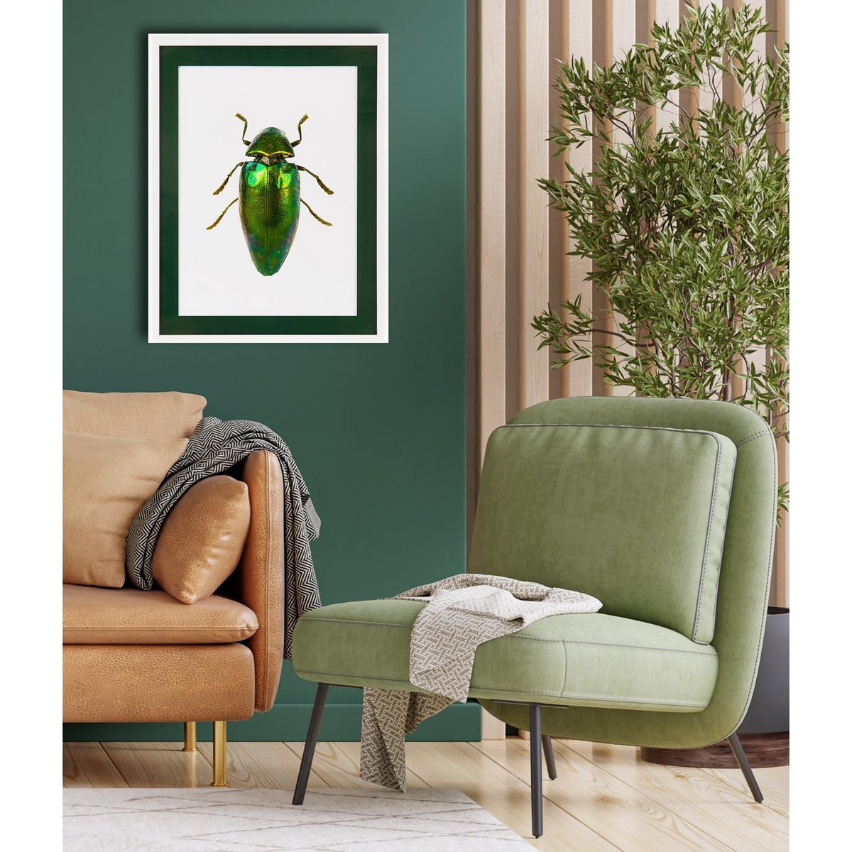 Frame picture with acrylic passepartout - Beetle Green