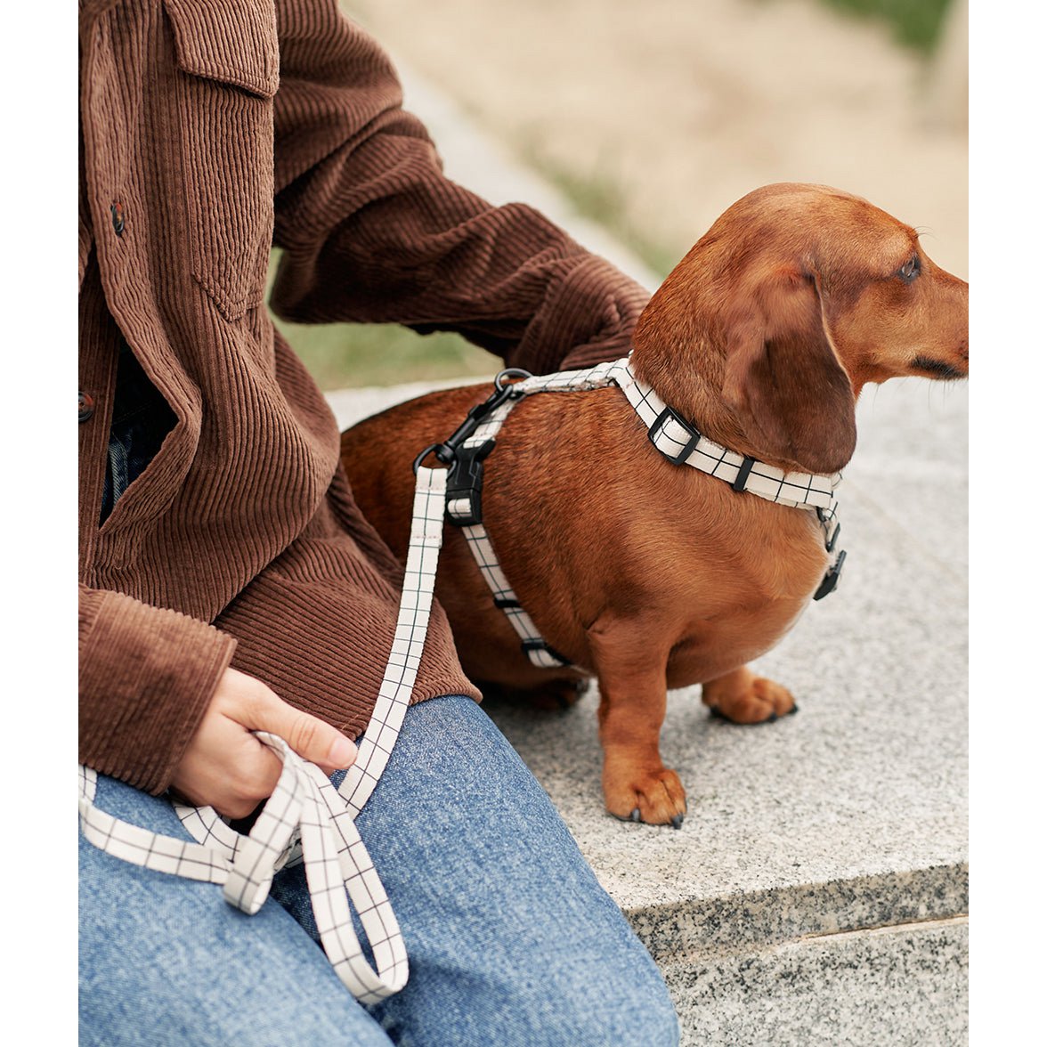Leash 1.2m Recycled PET Beige Line Design, Juno