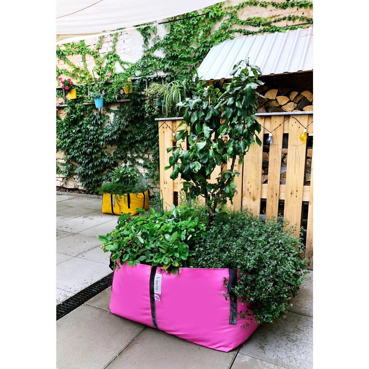 The Green Bag M